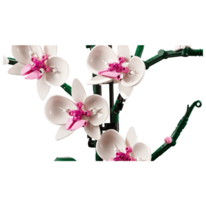 Ontwerp zonder titel(42)