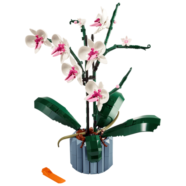 Ontwerp zonder titel(44)